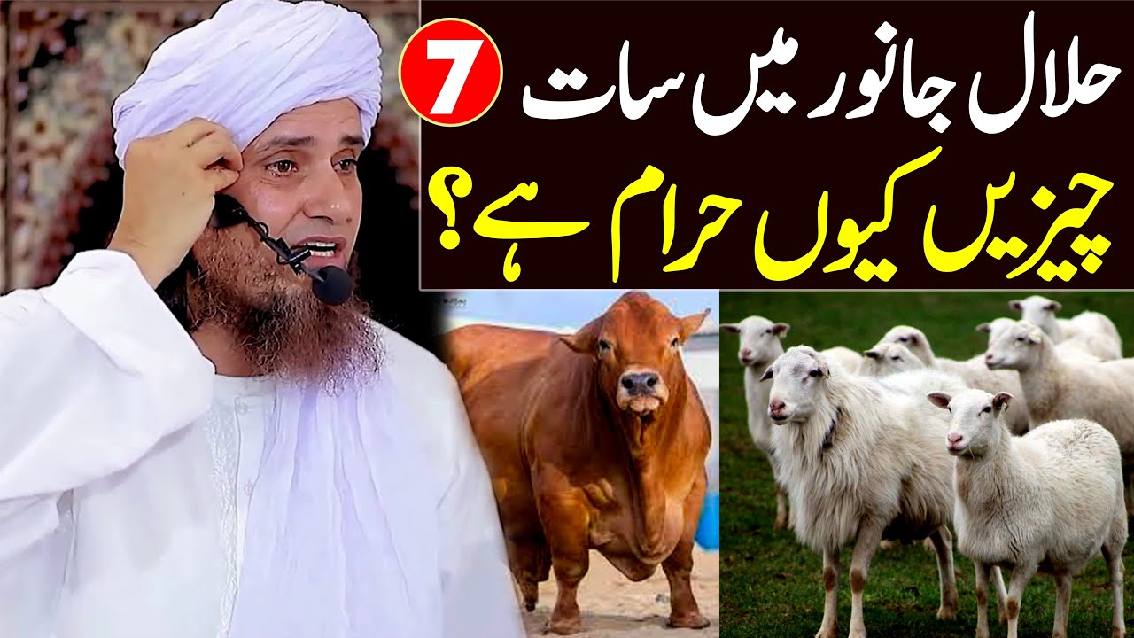 Halal Janwar Mein 7 Cheeze kyu Haram Hai ? | Mufti Tariq Masood Special | Qurbani ke masail 2022